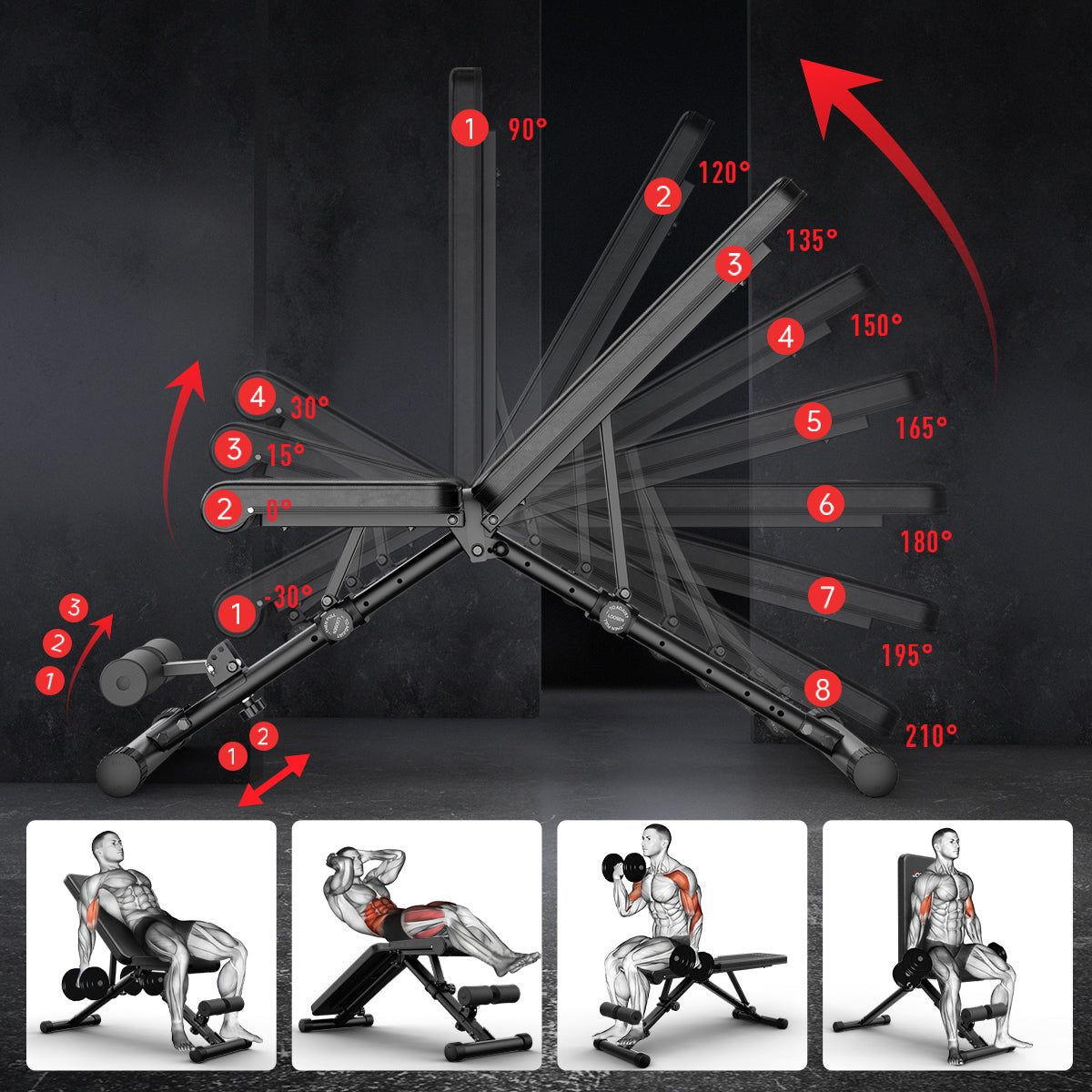 JOROTO MD35 Verstellbare Hantelbank – Essential-Ausführung